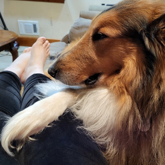 PLSreadBEFOREbuying! - Picture 1 of 16